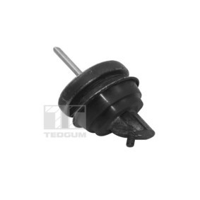 Motorlager TED11497