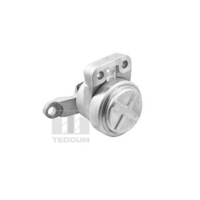 Motorlager TED36070