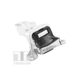 Motorlager TED81471