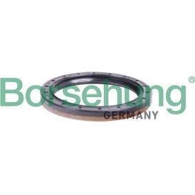 Wellendichtring, Differential B12197 von Borsehung günstig für 21,00 € online kaufen