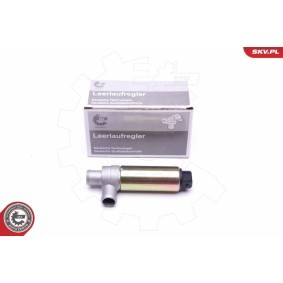 Acquista Regolatore minimo da ESEN SKV 08SKV240 a buon mercato per soli 82,70 €