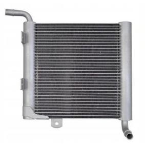 Kühler, Motorkühlung JG418600 von VITALE günstig für 183,20 € online kaufen