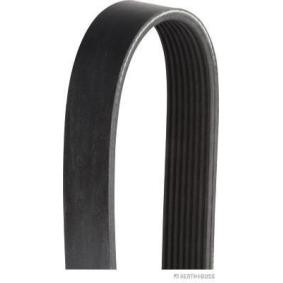 Compre Correia do alternador de HERTH+BUSS JAKOPARTS online para GX II (J150) a preços moderados
