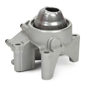 Ölpumpe 641146270 von MASTER-SPORT günstig für 100,56 € online kaufen