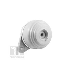 Motorlager TED37501