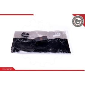 Comprar Interruptor intermitente de aviso de ESEN SKV 36SKV716 a bajo precio de 10,88 €