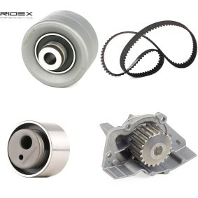 Achetez des Kit de distribution + pompe à eau RIDEX 3096W0382 à prix pour 71,84 €