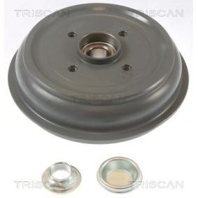 Acquista Tamburo freno da TRISCAN 8120 28209C a buon mercato per soli 75,87 €