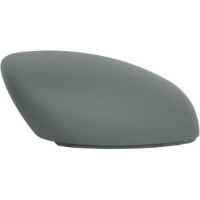 Abdeckung, Außenspiegel 7806028 von DIEDERICHS günstig für 16,31 € online kaufen