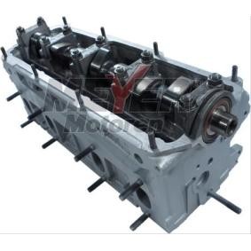 Zylinderkopf 013027360 von MEYER MOTOREN günstig für 947,87 € online kaufen