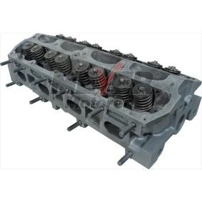Zylinderkopf 063031320 von MEYER MOTOREN günstig für 904,11 € online kaufen