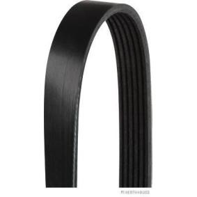 Compre Correia do alternador de HERTH+BUSS JAKOPARTS online para FLAVIA Cabriolet (JS) a preços moderados