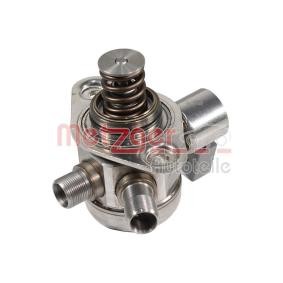 Hochdruckpumpe 2250497 von METZGER günstig für 314,21 € online kaufen