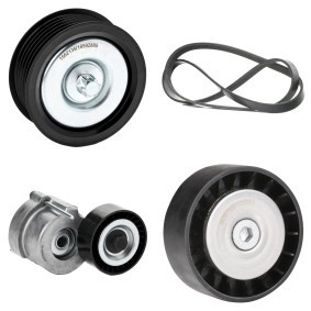 Achetez des Jeu de courroies trapézoïdales à nervures RIDEX 542R0846 à prix pour 80,84 €