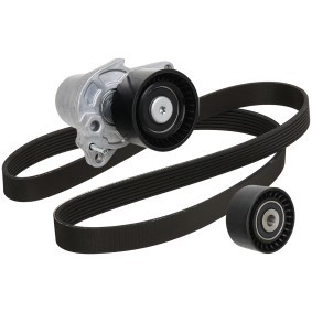 Achetez des Kit de courroie d'accessoire de chez RIDEX en ligne pour Vivaro B Camion plate-forme/Châssis (X82) à prix modérés