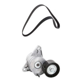 Compre Jogo de correias trapezoidais estriadas da RIDEX 542R0983 a um preço baixo por 93,86 €