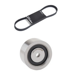 Compre Jogo de correias trapezoidais estriadas da RIDEX 542R1042 a um preço baixo por 25,29 €