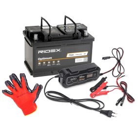 Achetez des Batterie RIDEX 1S0299 à prix pour 167,21 €