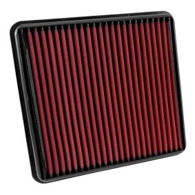 Acquista Filtro aria da AEM 28-20387 a buon mercato per soli 61,76 €