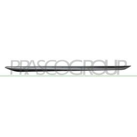 Schwellerverkleidung BM0351406 von PRASCO günstig für 190,08 € online kaufen