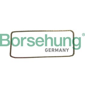 Steuerkette B1C029 von Borsehung günstig für 33,20 € online kaufen