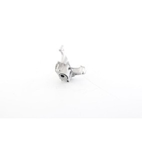 Achetez des Pompe à huile BSG BSG 30-101-010 à prix pour 169,49 €