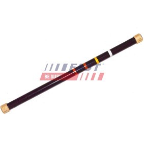 Achsschenkel, Radaufhängung FT13553 von FAST günstig für 77,25 € online kaufen