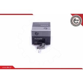Achetez des Poignée de porte, équipement intérieur ESEN SKV 96SKV765 à prix pour 8,99 €