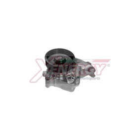 Wasserpumpe X208092 von AP XENERGY günstig für 54,94 € online kaufen