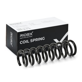 Acquista Molle da RIDEX online per NP300 Navara Pick-up (D23) a prezzi moderati
