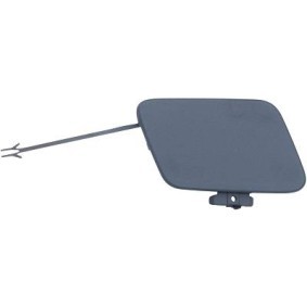 Klappe, Abschlepphaken 1020064 von DIEDERICHS günstig für 12,13 € online kaufen