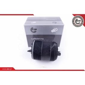 Acquista Molla pneumatica da ESEN SKV 58SKV032 a buon mercato per soli 363,39 €