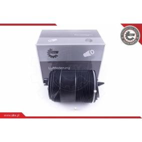 Acquista Molla pneumatica da ESEN SKV 58SKV033 a buon mercato per soli 363,39 €