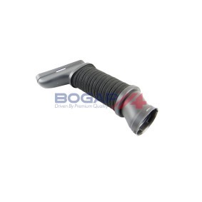 Ansaugschlauch, Luftfilter C1710133 von BOGAP günstig für 72,50 € online kaufen