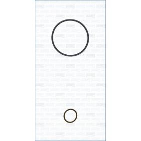 Dichtungssatz, Unterdruckpumpe 77043900 von AJUSA günstig für 13,29 € online kaufen
