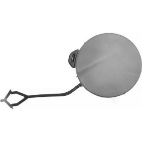 Klappe, Abschlepphaken 1816054 von DIEDERICHS günstig für 17,06 € online kaufen