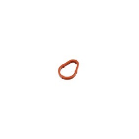 Dichtung, Unterdruckpumpe FT50702 von FAST günstig für 6,98 € online kaufen