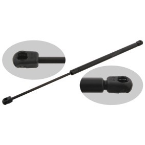 Heckklappendämpfer von FEBI BILSTEIN