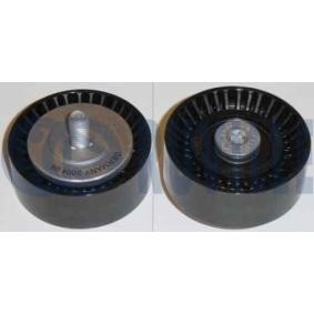Umlenk- / Führungsrolle, Keilrippenriemen 541437 von RUVILLE günstig für 66,13 € online kaufen