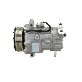 Acquista Compressore aria condizionata da BV PSH 090.305.013.311 a buon mercato per soli 450,06 €