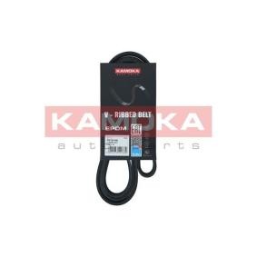 Achetez des Courroie Poly-V KAMOKA 7016146 à prix pour 17,11 €