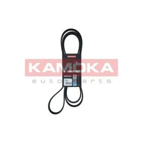 Compre Correia do alternador de KAMOKA online para S10 Extended Cab Pickup a preços moderados