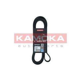 Achetez des Courroie Poly-V KAMOKA 7016227 à prix pour 15,55 €
