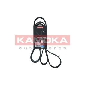 Acquista Cinghia servizi da KAMOKA 7016228 a buon mercato per soli 20,64 €
