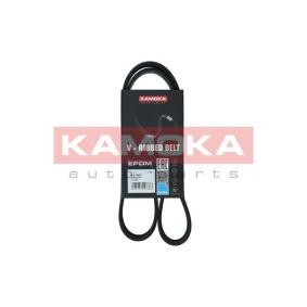 Achetez des Courroie Poly-V KAMOKA 7017001 à prix pour 12,77 €