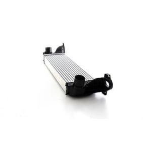 Kjøp Intercooler av BSG BSG 42-535-002 til den lave prisen 4925,36 NOK