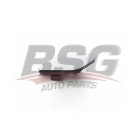 Türgriff für TOYOTA von BSG
