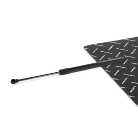 Achetez des Vérin de coffre RIDEX 219G1205 à prix pour 17,12 €