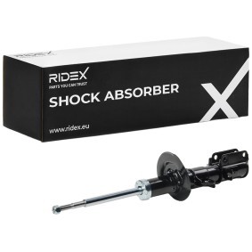 Stoßdämpfer von RIDEX