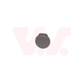 Klappe, Abschlepphaken 3746557 von VAN WEZEL günstig für 11,89 € online kaufen